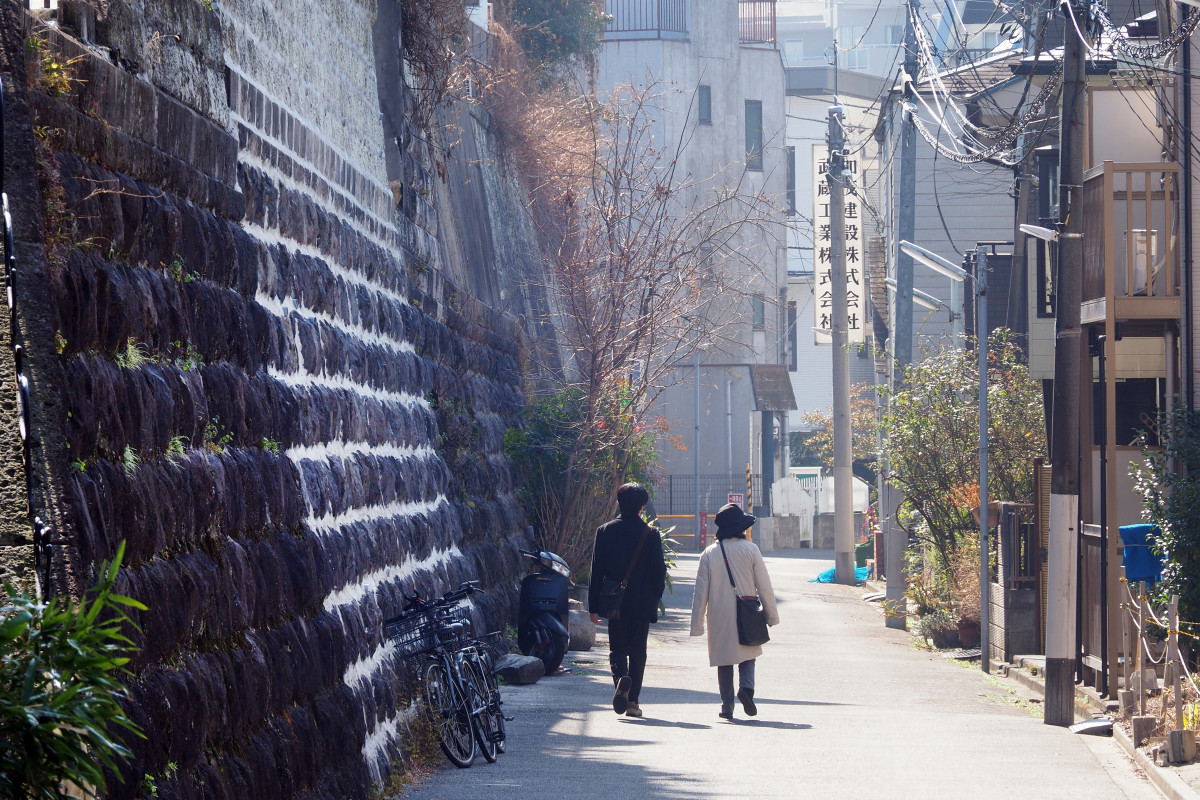 真島坂の途中から南西に向かってつづく崖。